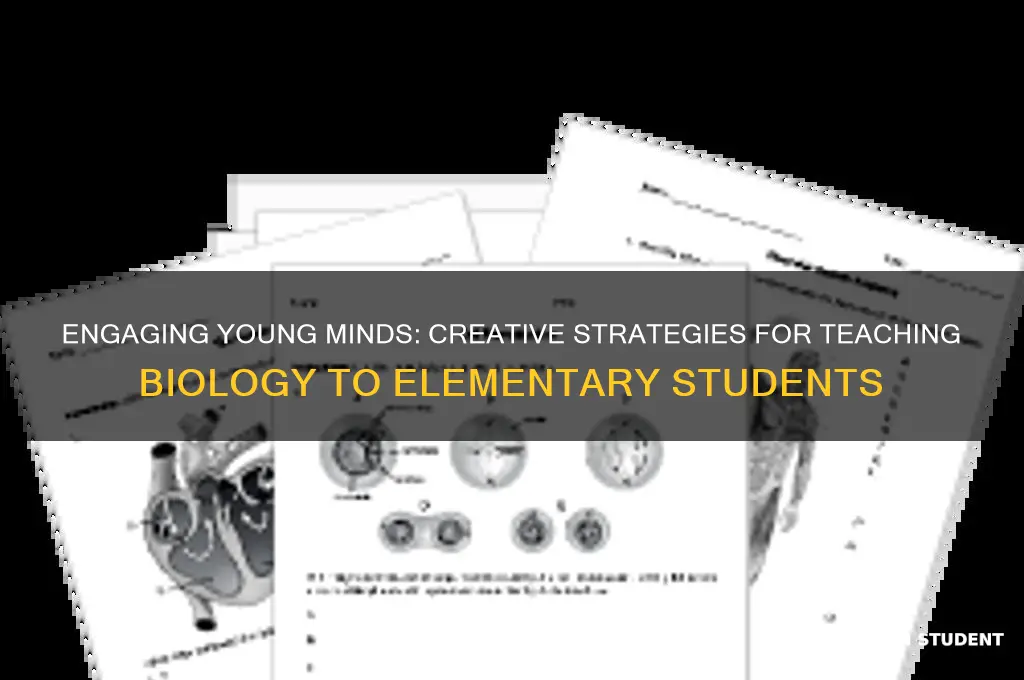 how to teach biology to elementary students