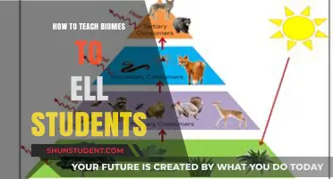 Engaging ELL Students: Creative Strategies for Teaching Biomes Effectively