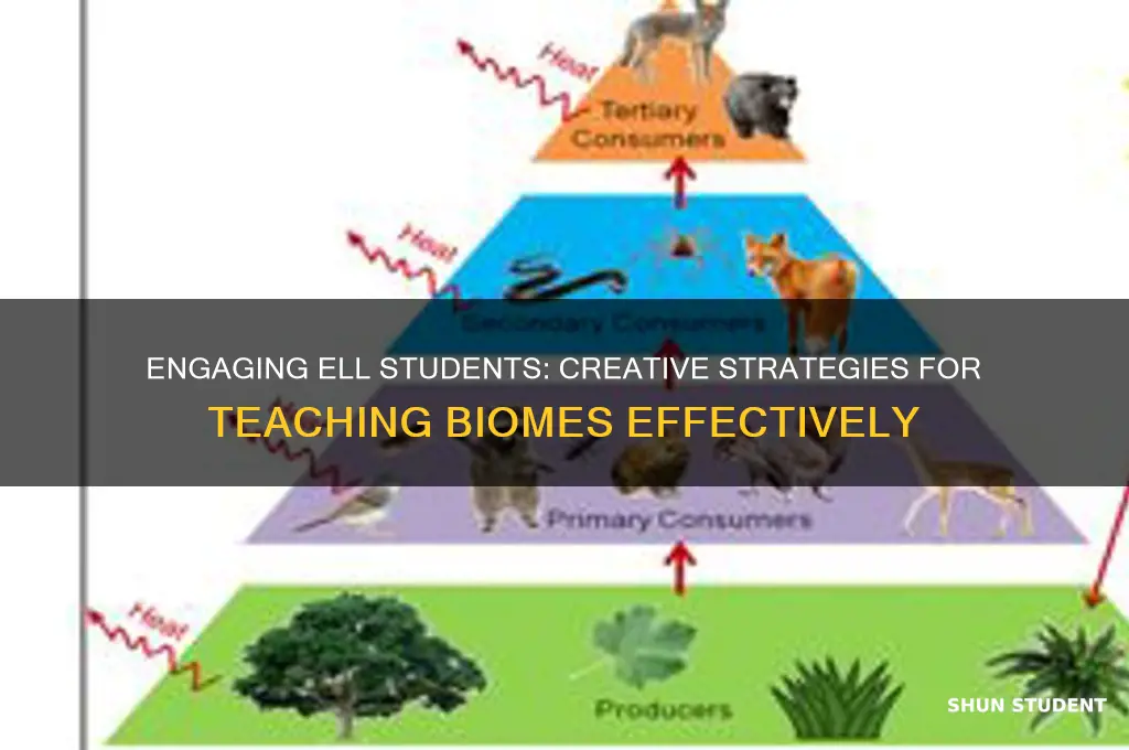 how to teach biomes to ell students
