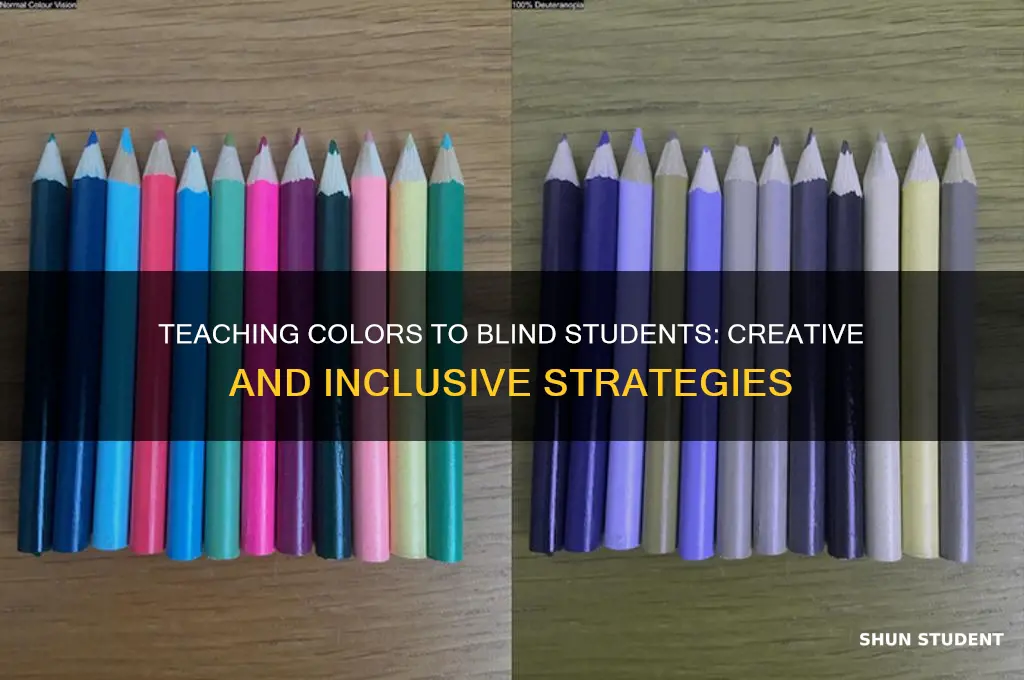 how to teach blind students about colors
