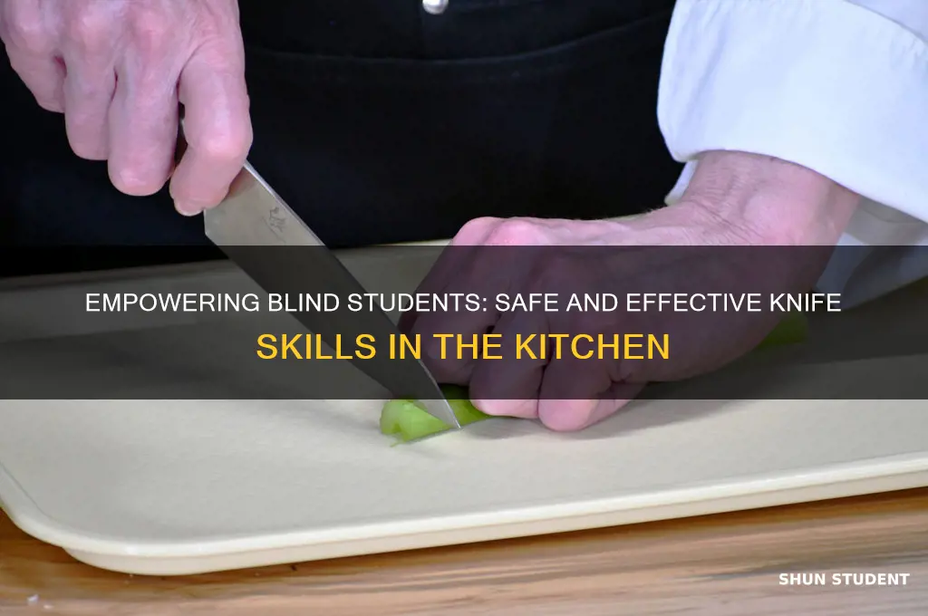 how to teach blind students knife skills