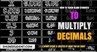 Empowering Blind Learners: Mastering Decimal Multiplication Through Tactile Strategies