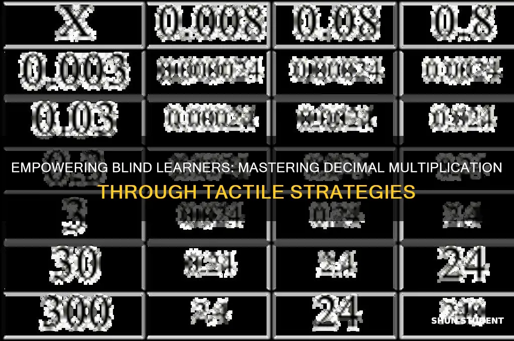 how to teach blind students to multiply decimals