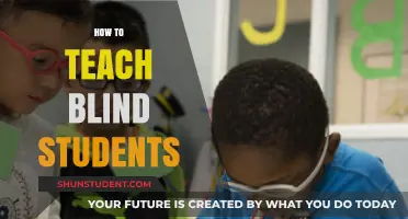 Empowering Blind Learners: Effective Teaching Strategies for Inclusive Education