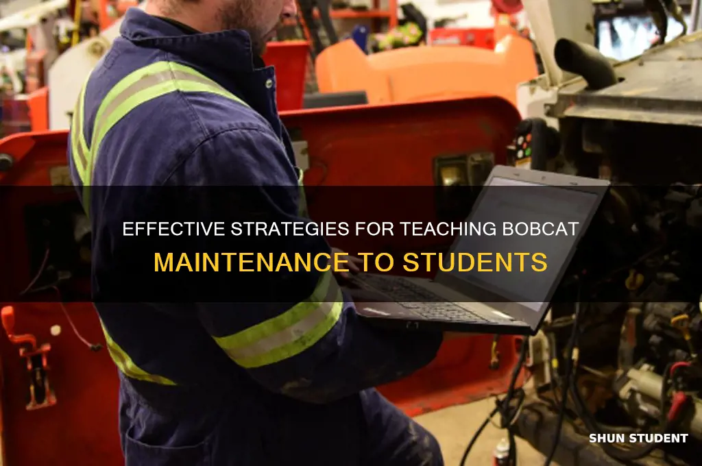 how to teach bobcat maintenace to students