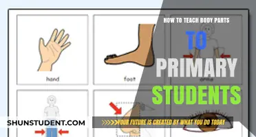 Fun and Engaging Ways to Teach Body Parts to Young Learners