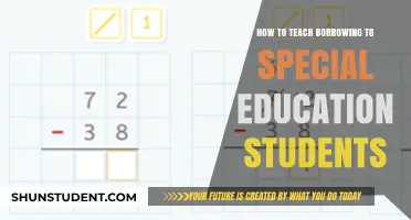 Teaching Borrowing Strategies to Special Education Students: Effective Methods