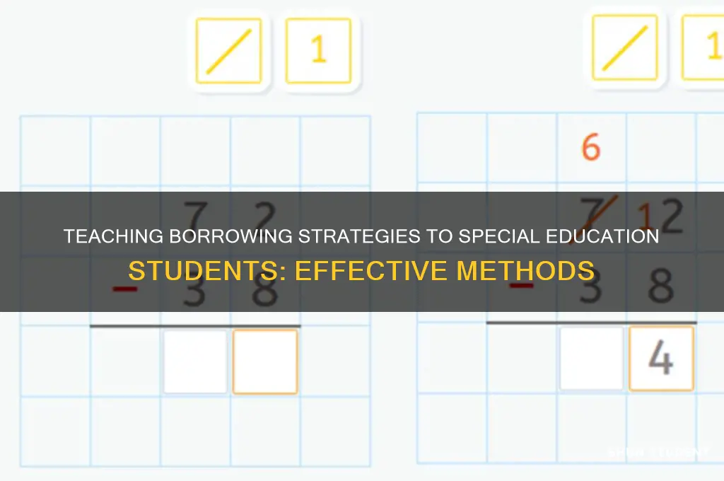 how to teach borrowing to special education students