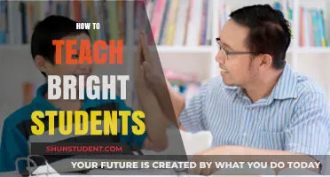 Nurturing Brilliance: Effective Strategies for Teaching Bright Students