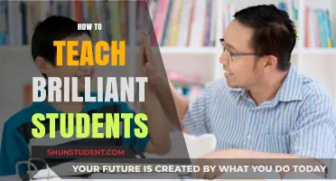 Nurturing Brilliance: Effective Strategies for Teaching Gifted Students