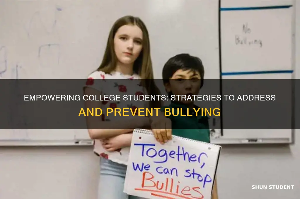 how to teach bullying to college students