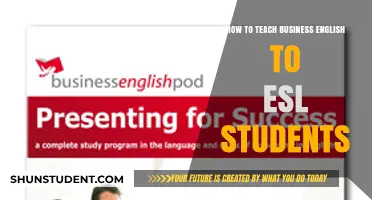 Effective Strategies for Teaching Business English to ESL Learners