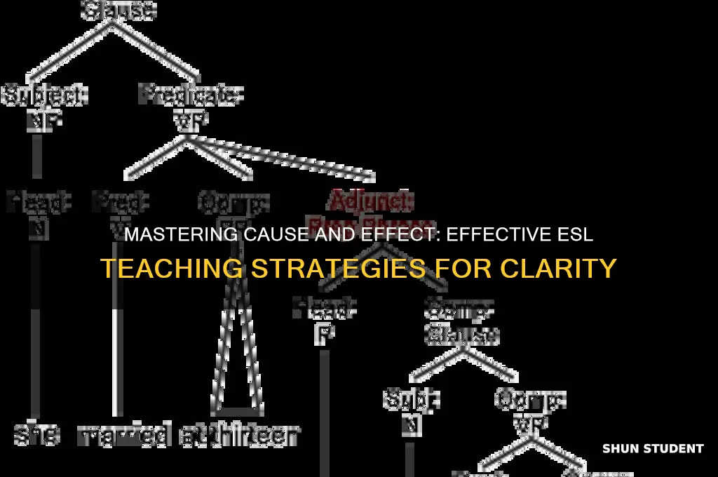how to teach cause and effect to esl students