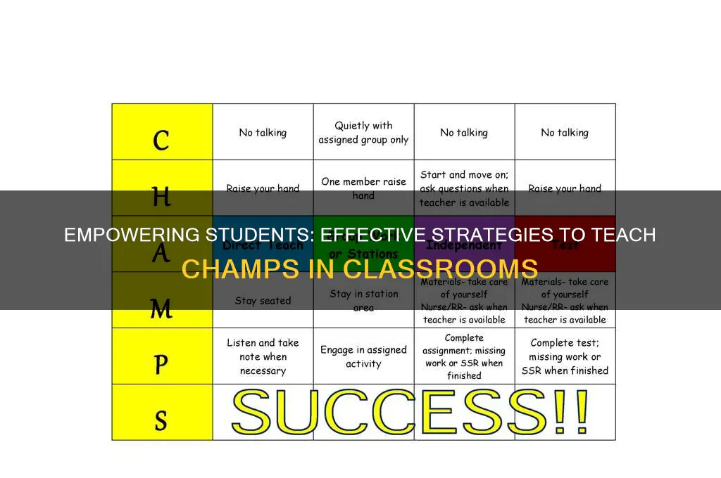 how to teach champs to students