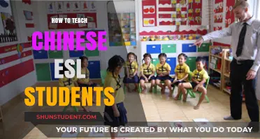 Effective Strategies for Teaching Chinese ESL Students Successfully
