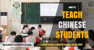 Effective Strategies for Teaching Chinese Students: Cultural Insights and Practical Tips