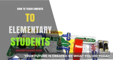 Fun Circuit Basics: Engaging Elementary Students in Hands-On Learning