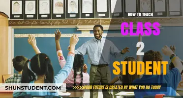 Effective Strategies for Engaging and Teaching Class 2 Students Successfully