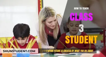 Effective Strategies for Engaging and Teaching Class 3 Students Successfully