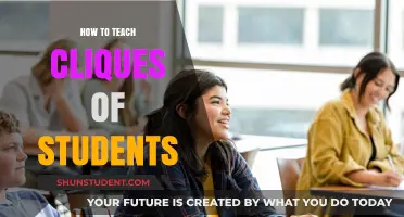 Strategies for Teaching Cliques: Fostering Inclusivity and Collaboration in Classrooms