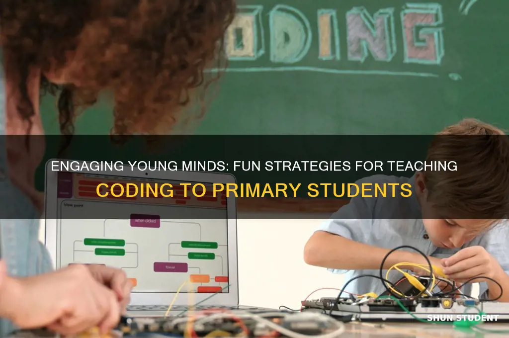 how to teach coding to primary students