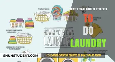 Mastering Laundry Basics: A College Student's Guide to Clean Clothes