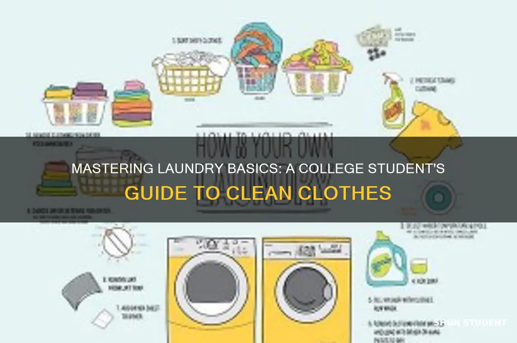 how to teach college students to do laundry