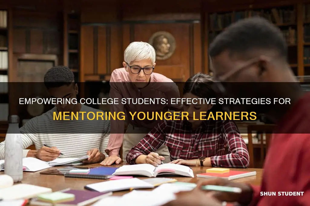 how to teach college students to mentor students