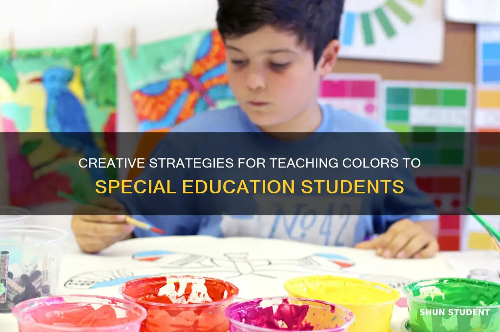 how to teach colors to special education students