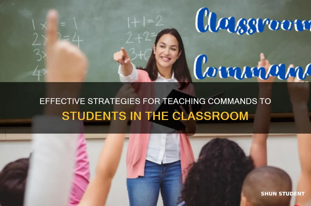 how to teach commands to students