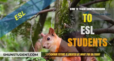 Effective Strategies for Teaching Reading Comprehension to ESL Learners