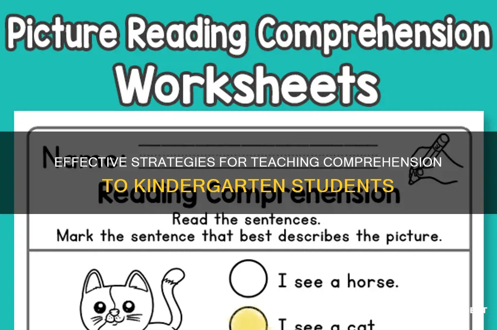 how to teach comprehension to kindergarten student