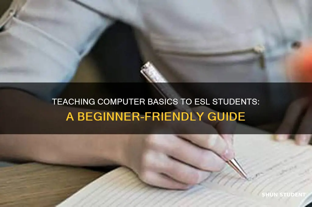 how to teach computer basics to esl students