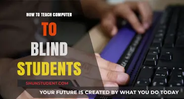 Empowering Blind Students: Innovative Strategies for Teaching Computer Skills