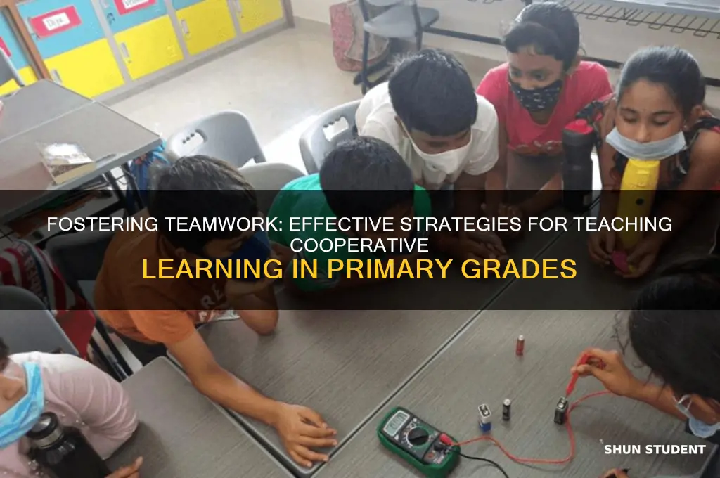 how to teach cooperative learning to primary students