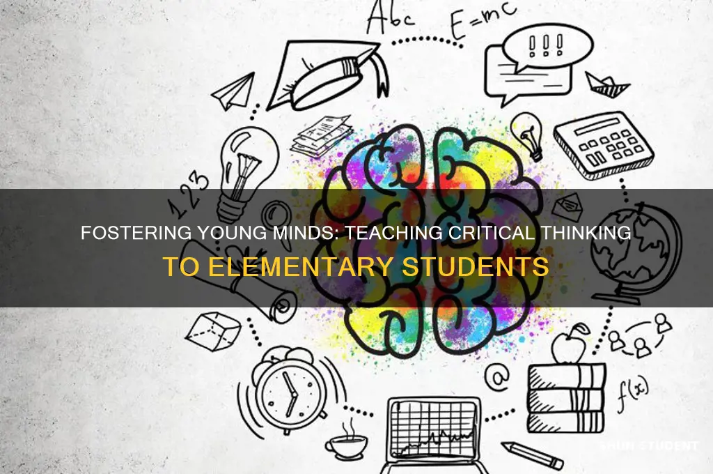 how to teach critical thinking skills to elementary students