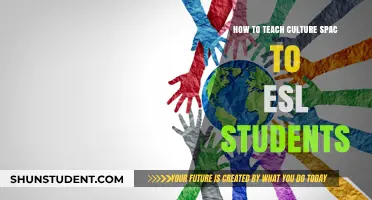 Teaching Cultural Space to ESL Students: Strategies for Effective Learning