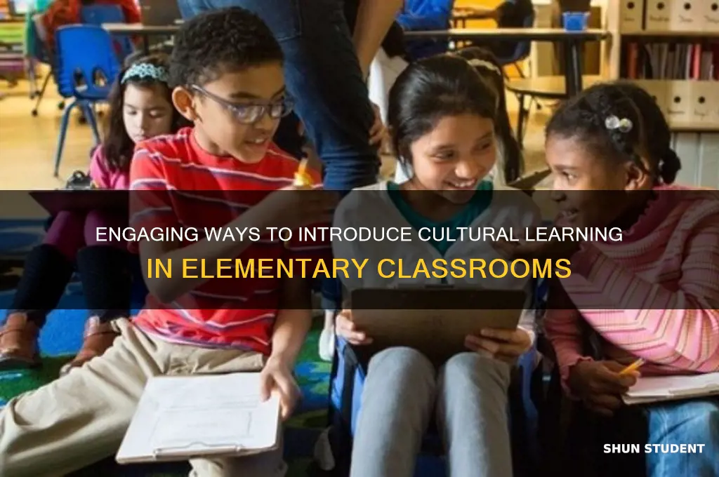 how to teach culture to elementary students