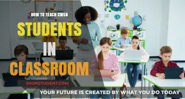Inclusive Teaching Strategies for CWSN Students in Mainstream Classrooms