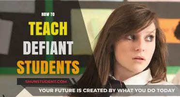Strategies for Engaging and Guiding Defiant Students in the Classroom