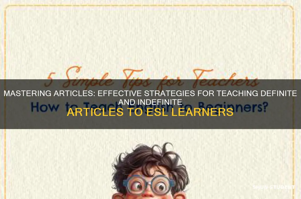 how to teach definite and indefinite articles to esl students