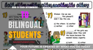 Effective Strategies for Teaching Determiners to Bilingual Learners