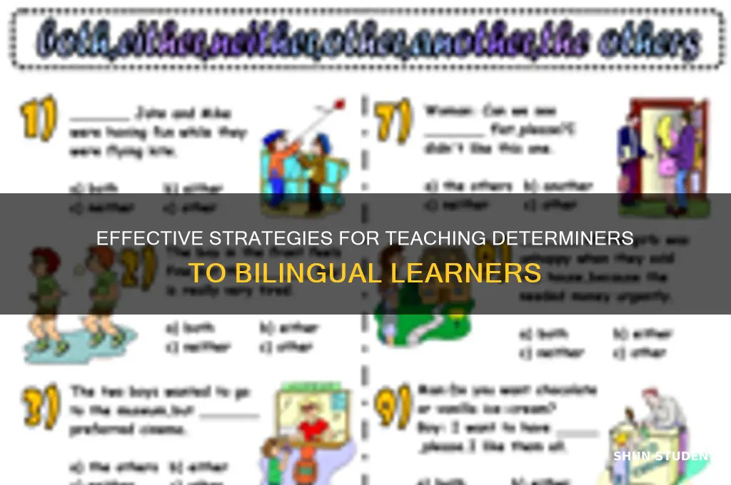 how to teach determiners to bilingual students