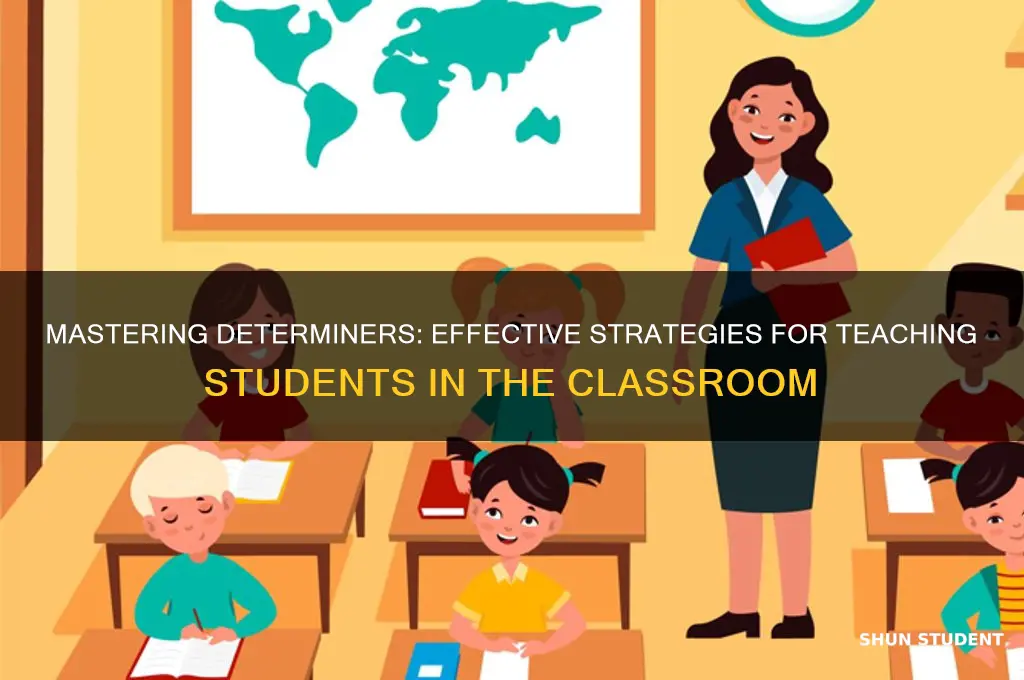 how to teach determiners to students