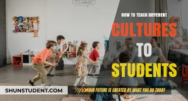 Cultivating Cultural Awareness: Effective Strategies for Teaching Diverse Cultures