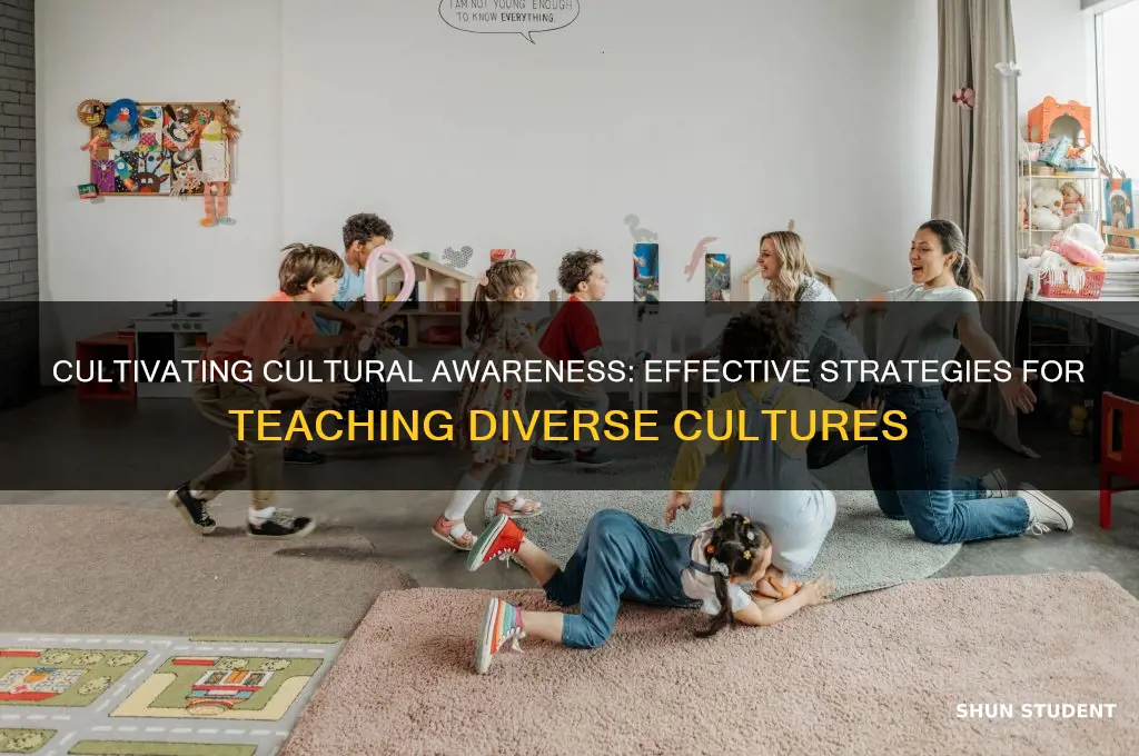 how to teach different cultures to students
