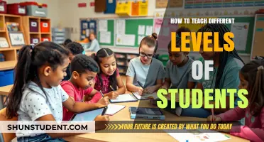 Tailoring Lessons: Strategies for Teaching Diverse Student Levels Effectively