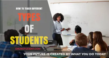 Tailoring Teaching Strategies for Diverse Learners: A Comprehensive Guide