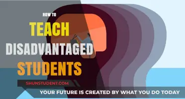 Empowering Disadvantaged Learners: Strategies for Inclusive and Effective Teaching