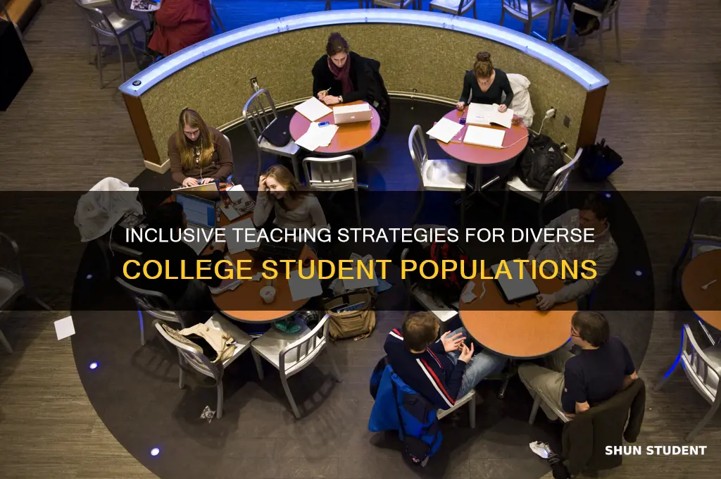 how to teach diverse student populations in colleges